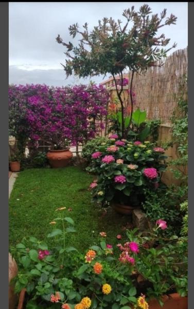 Vila Casa Mariangela Olbia Exteriér fotografie